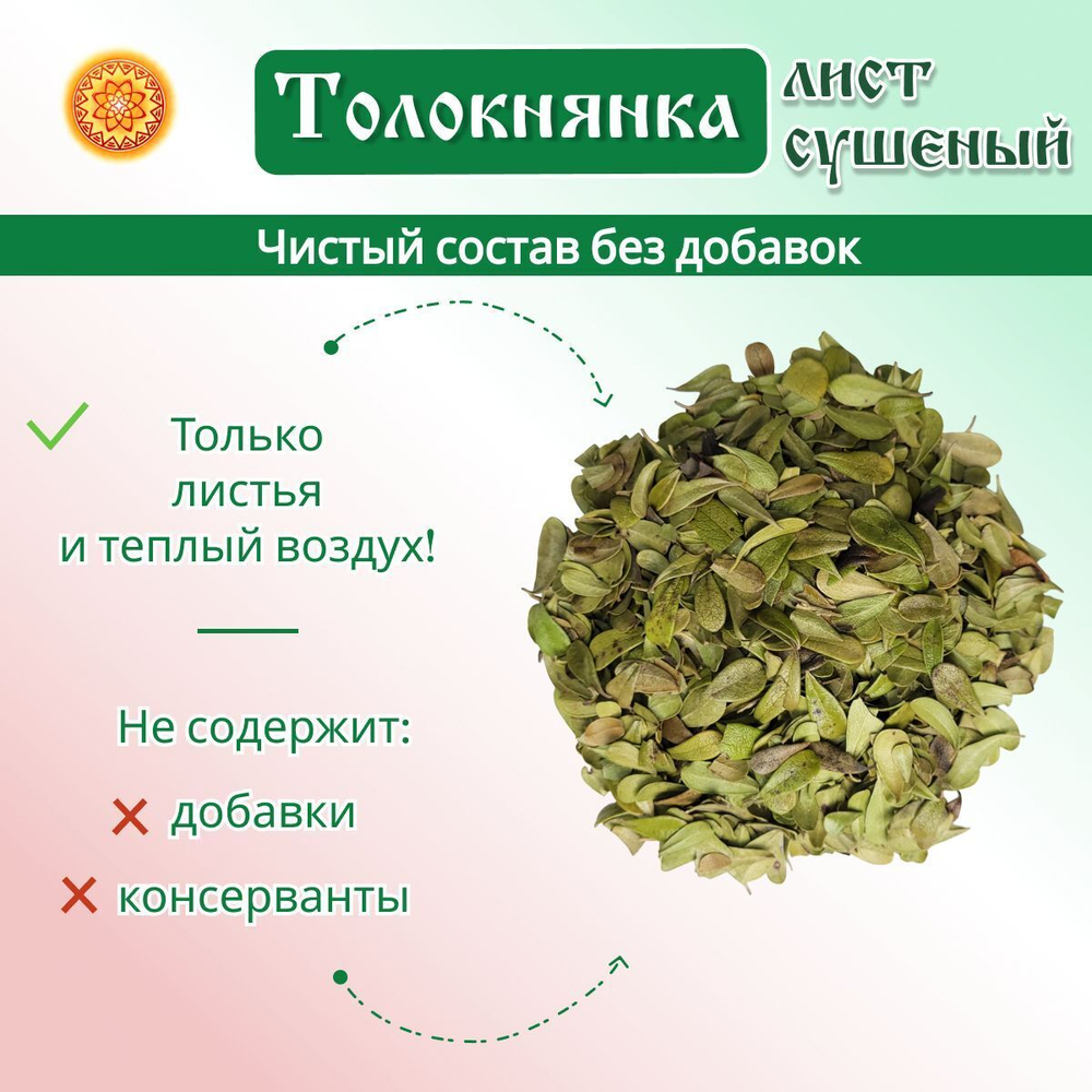 Толокнянка (лист)