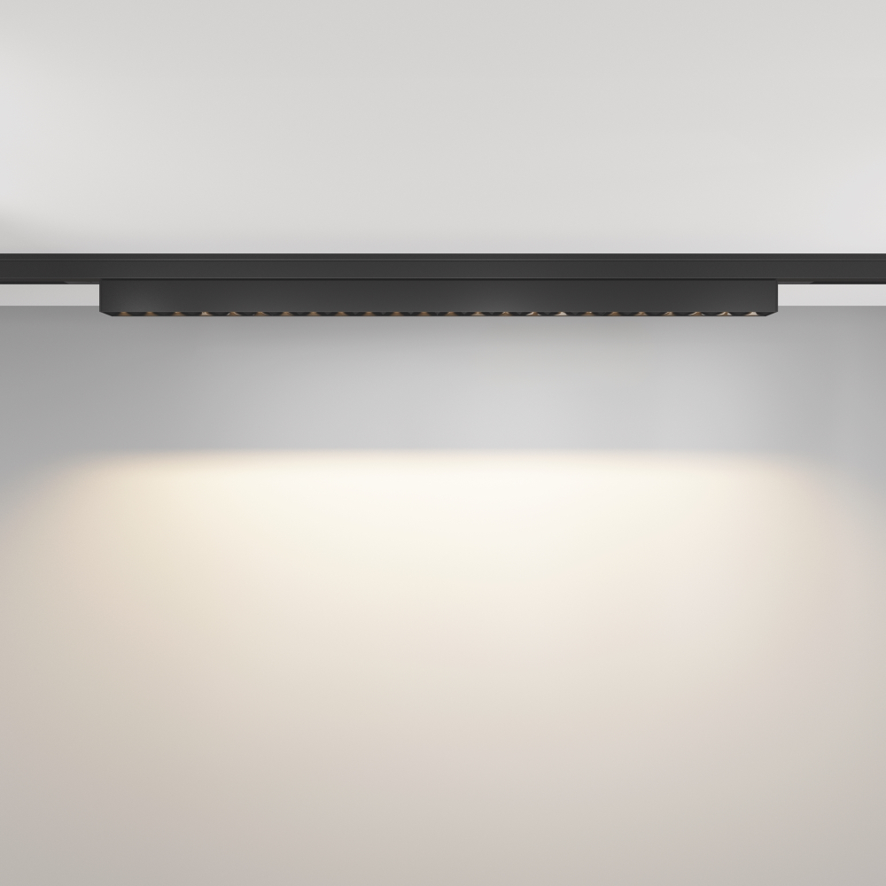 Магнитный трековый светильник Maytoni Points TR193-1-20W3K-M-B