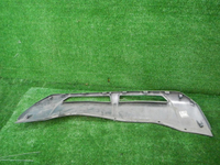 DSCN0603.JPG