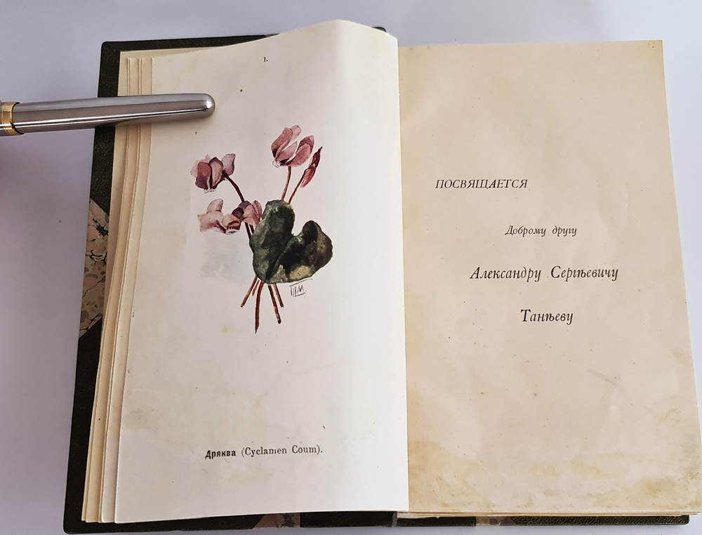 "Наши весенние цветы. Серия 1-3. Наши летние цветы. Серия 1-2". Д.Н.Кайгородов. 1915 г.