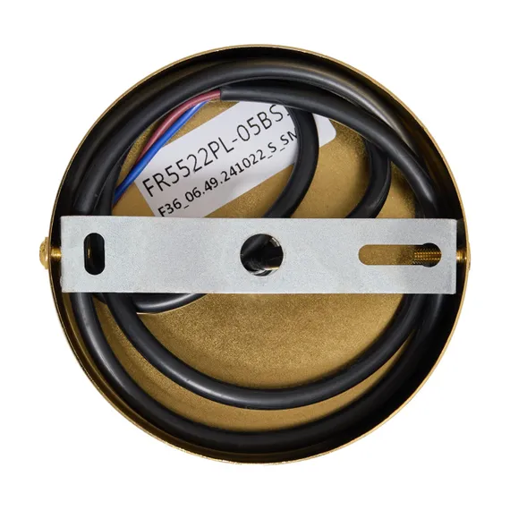 Потолочная люстра Caramel FR5522PL-05BS1 Freya