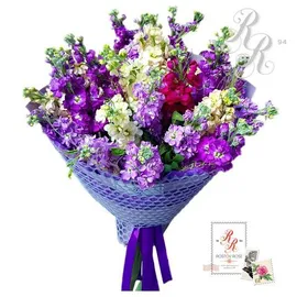 Маттиолы