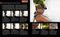 Digital Photography Step by Step