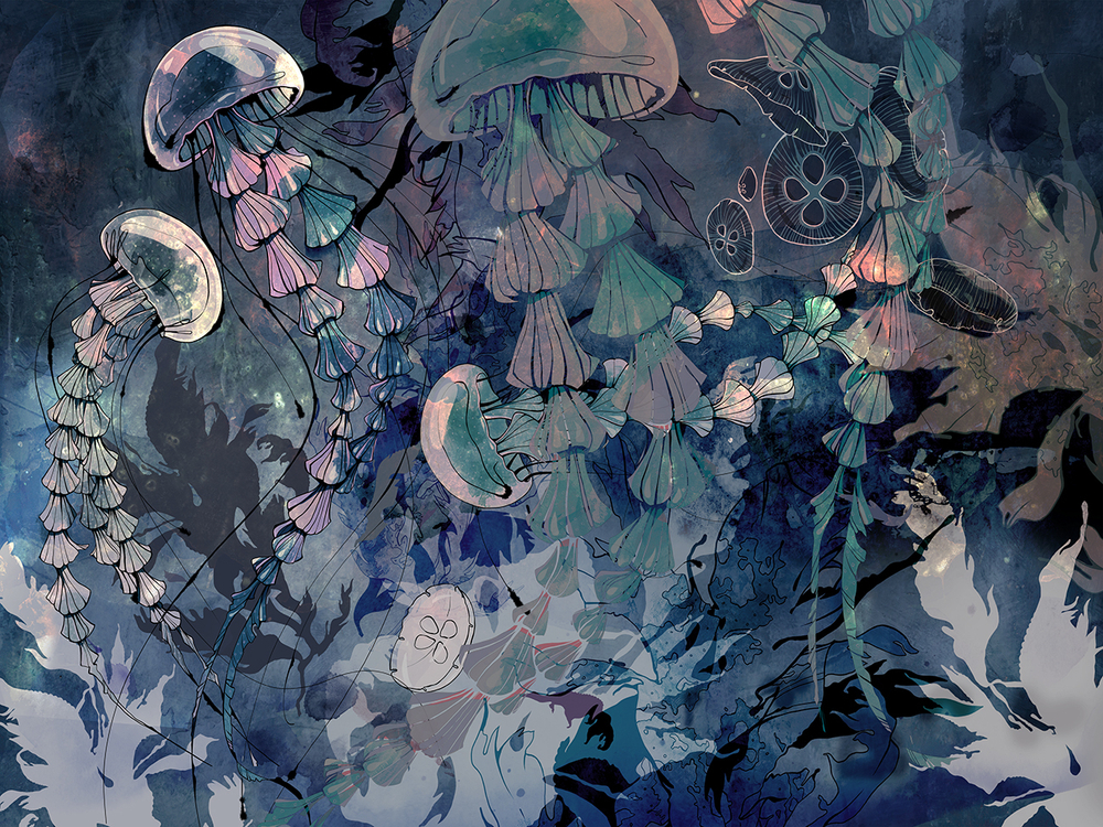 JELLY 1