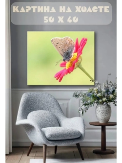 Картина на стену 40 X 50 Бабочка