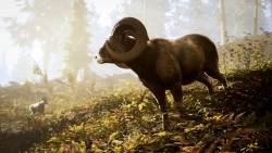 Hunting Simulator 3 (диск для PS5, интерфейс и субтитры на русском языке)