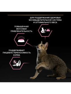 Корм для кошек Курица 3кг