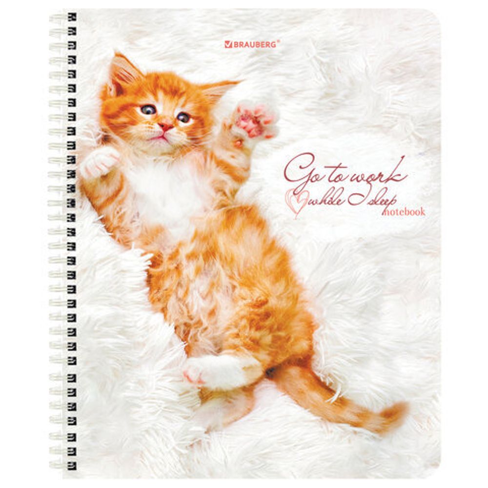 Тетрадь А5, 96 л., BRAUBERG, гребень, клетка, обложка картон, "Котики", 404425, 4шт