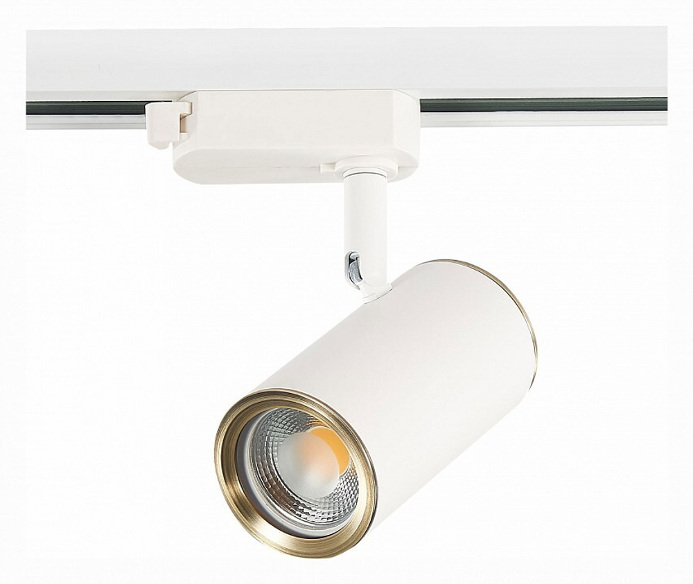 Светильник на штанге ST-Luce Cromi ST301.536.01