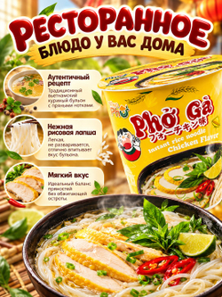 Рисовая лапша Фо Га со вкусом Курицы 61 г * 3 шт