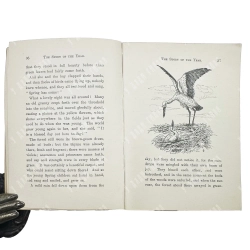 Андерсен Х.Г. Огниво и другие сказки / Andersen H.C. The tinder box and other stories. [1900-е]