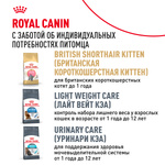 Royal Canin British Shorthair Adult Британская короткошерстная Эдалт Корм сухой для взрослых британских кошек 4кг