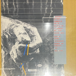 Виниловая пластинка Alphaville - Forever Young LP