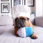 Игрушка NomNomz Капкейк ZippyPaws