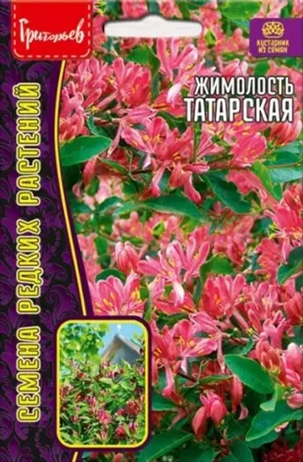 Жимолость Татарская многолетник 15шт (Ред.семена)
