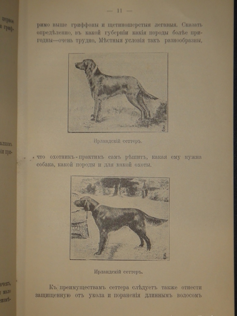 "Выбор, приобретение, содержание, дрессировка и натаска легавой". 1911г.