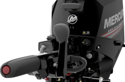 Мотор MERCURY F 10-20 M