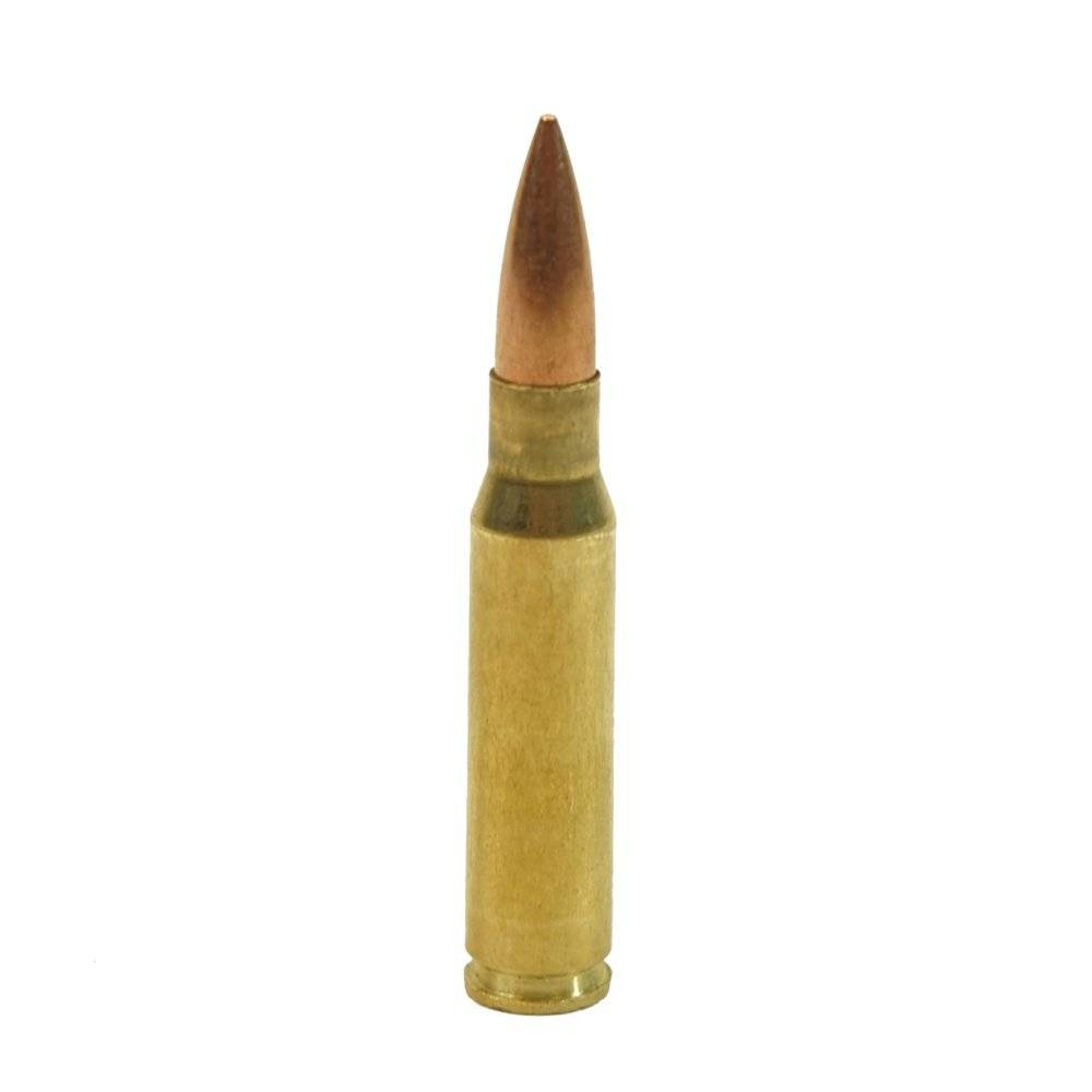 Учебный патрон 7,62х51 (7.62 NATO)