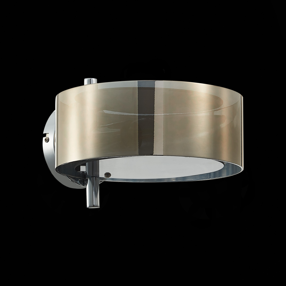 Светильник настенный Evoluce Foresta SL483.701.01