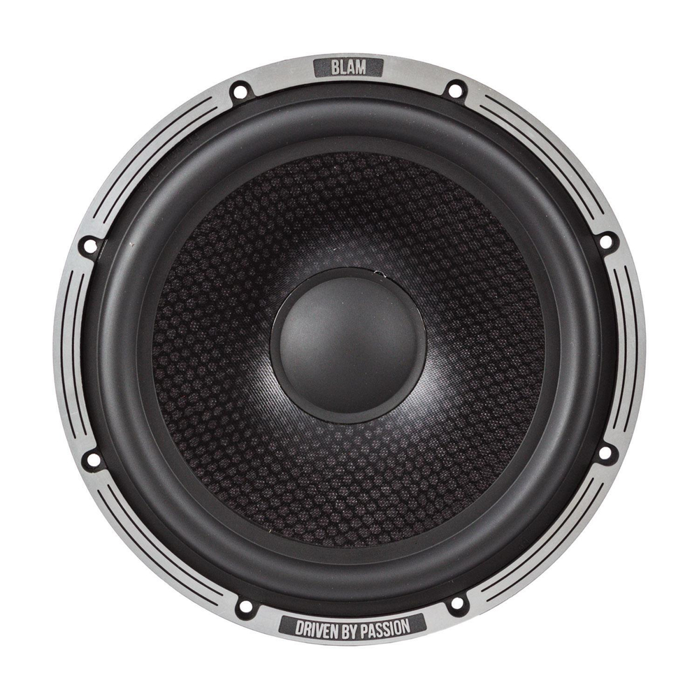 Акустика BLAM L200P - BUZZ Audio
