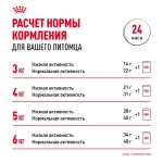 Корм влажный для стерилизованных кошек живущих в помещении кусочки в желе, 85г Royal Canin Indoor Sterilised