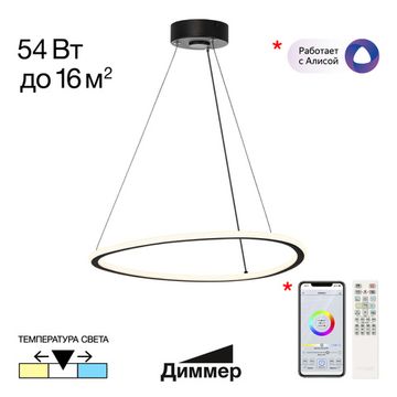 Люстра подвесная с пультом LED 54W 3000К-5500К CL215B051 чёрный Тrio Citilux