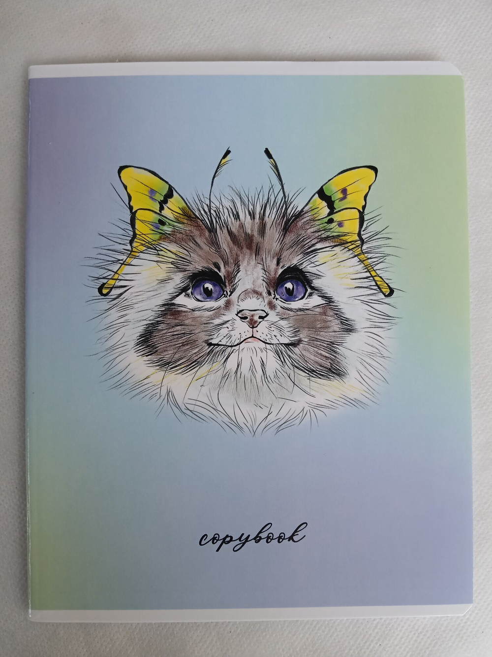 Тетради 48 листа А5+. "Кошки-Бабочки", общая, клетка. Формат А5+ (163*203 мм). Арт.120006. С полями. Комплект 5 шт.