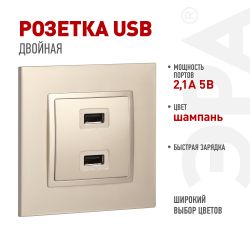 14-4110-04 ЭРА Устройство зарядное USB, 230В/5В-2100мА, IP20, Эра Elegance, шампань | Эра Elegance