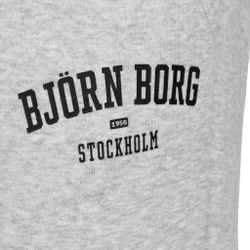 Мужские теннисные штаны Björn Borg Borg Essential Training Pants Men - Lightgrey
