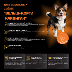 Корм для взрослых собак породы Вельш-корги кардиган, с индейкой, 2,5 кг, QUATTRO