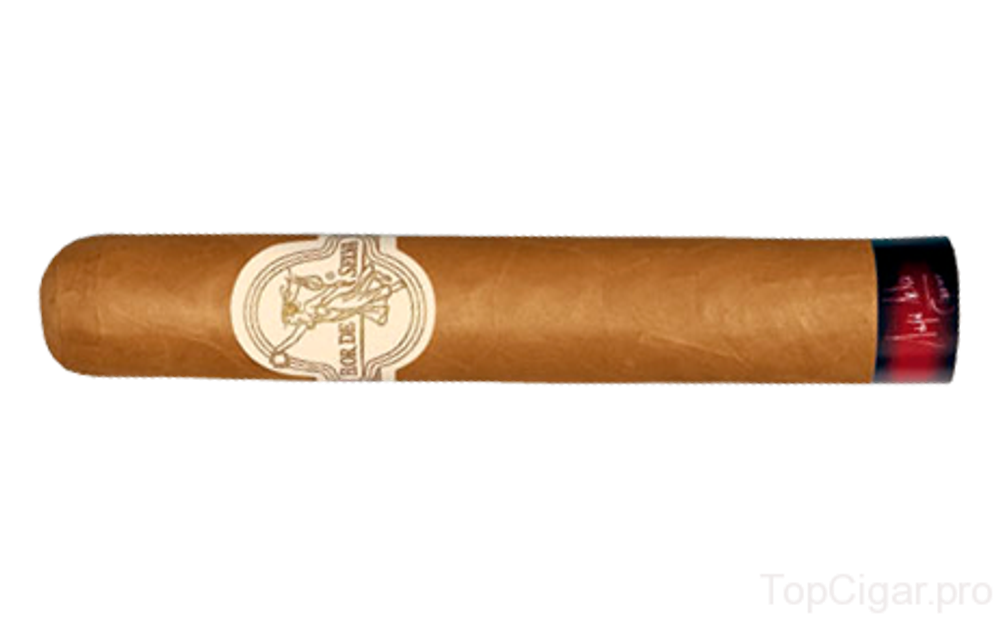 Flor de Selva Tempo