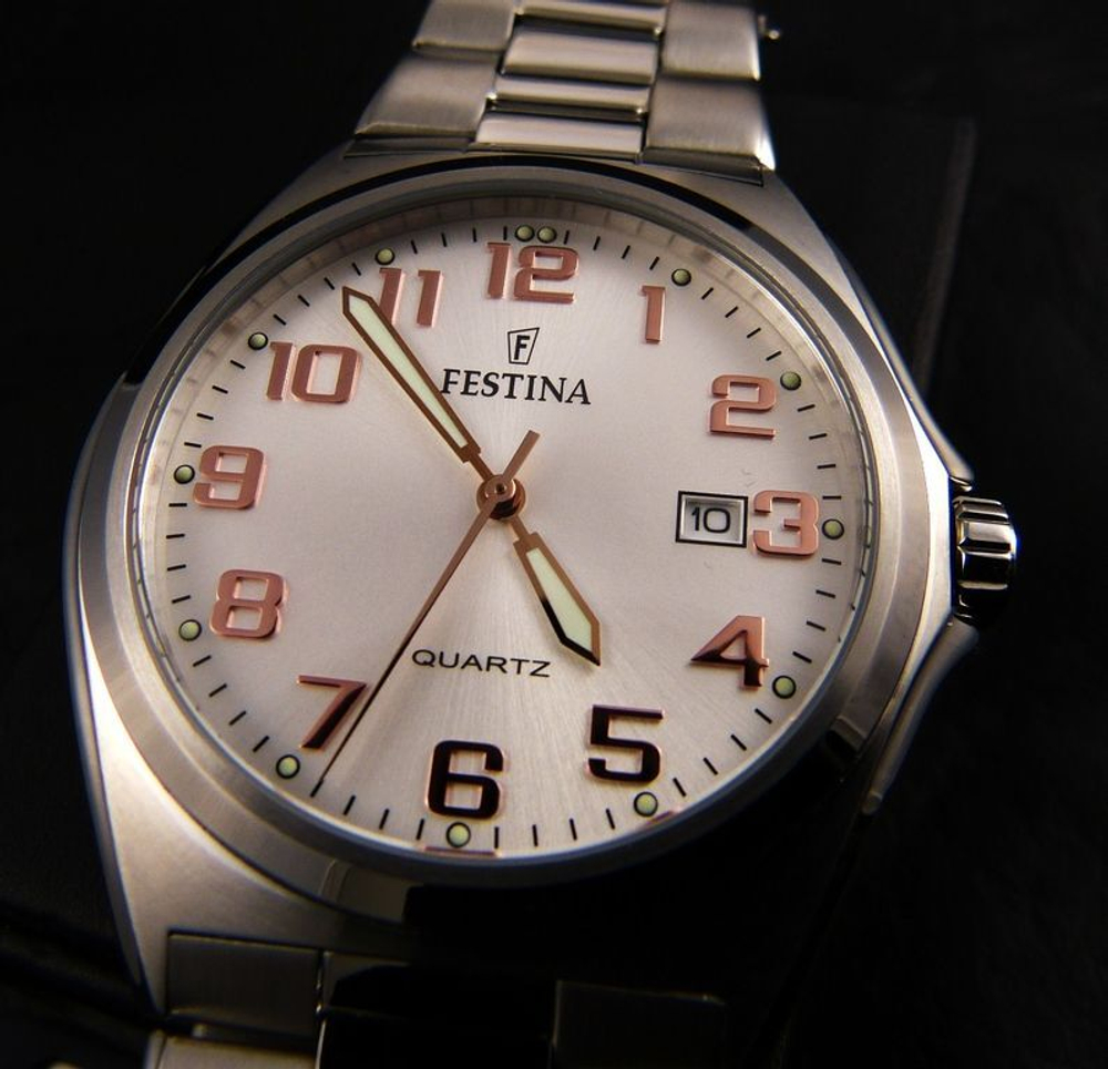 Мужские наручные часы Festina F16374/7