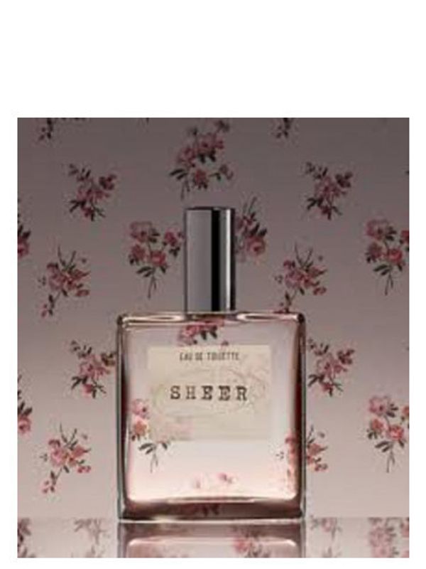 American Eagle Sheer