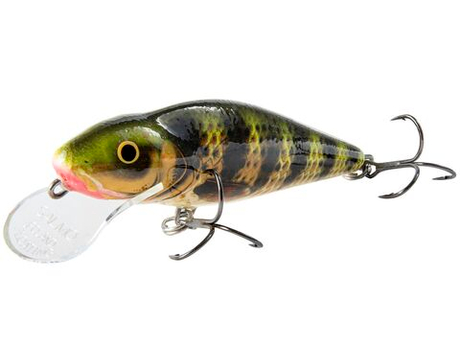 Воблер плавающий Salmo Perch F 8 см, цвет HOP