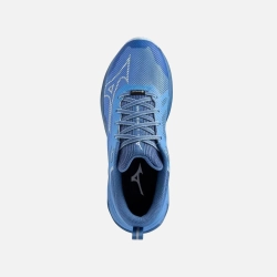 Кроссовки Mizuno Wave Ibuki 4 GTX женские