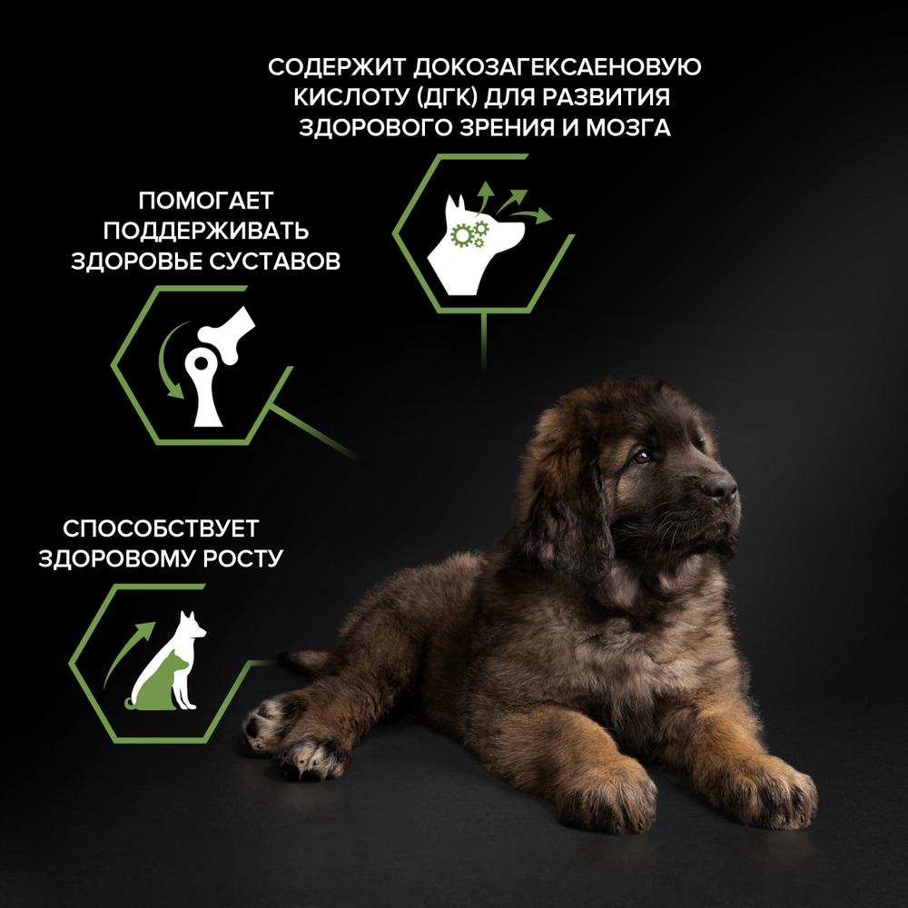 Сухой корм PRO PLAN HEALTHY START для щенков крупных пород с мощным телосложением курица 12 кг