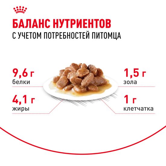 Royal Canin Ageing +12 влажный корм В СОУСЕ для пожилых кошек старше 12 лет с первыми признаками старения