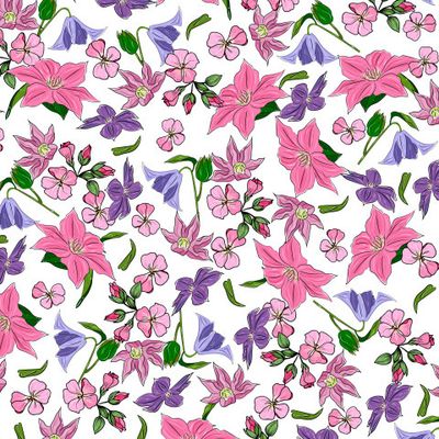 Clematis