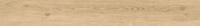 Atlas Concorde Russia Wine Oak Champagne Ret 20x160
