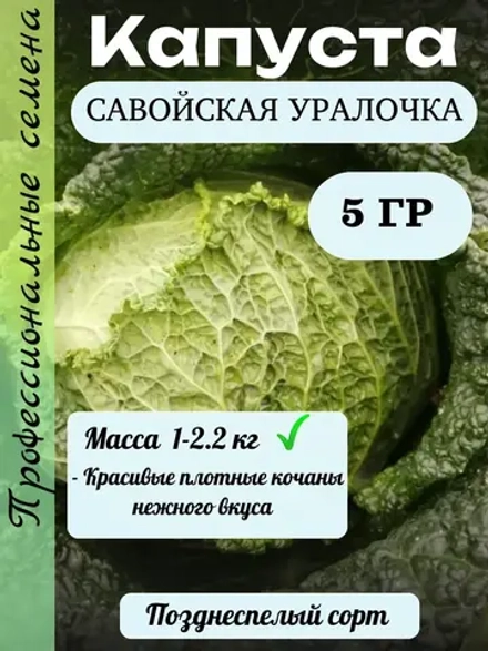 Семена Капуста савойская Уралочка 5гр