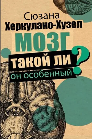 Мозг. Такой ли он особенный? (уценка)