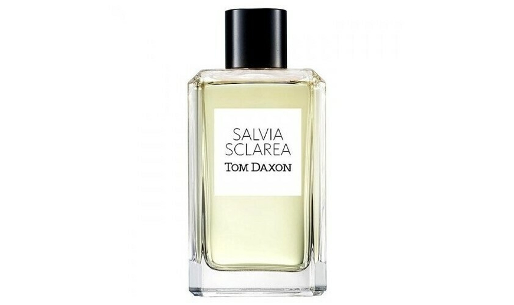 Salvia Sclarea tom daxon
