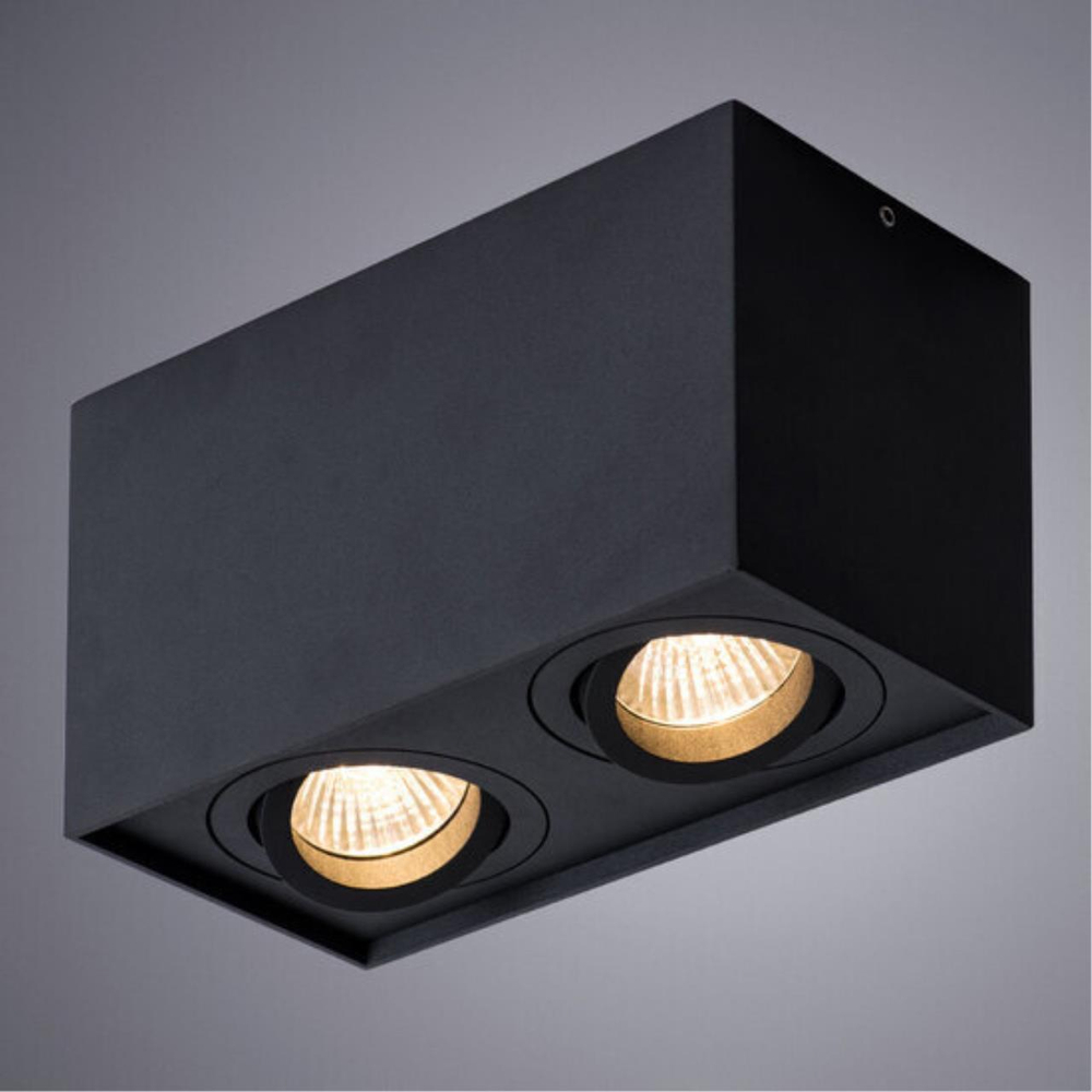 Накладной светильник Arte Lamp FACTOR A5544PL-2BK
