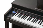 Kurzweil Andante CUP320