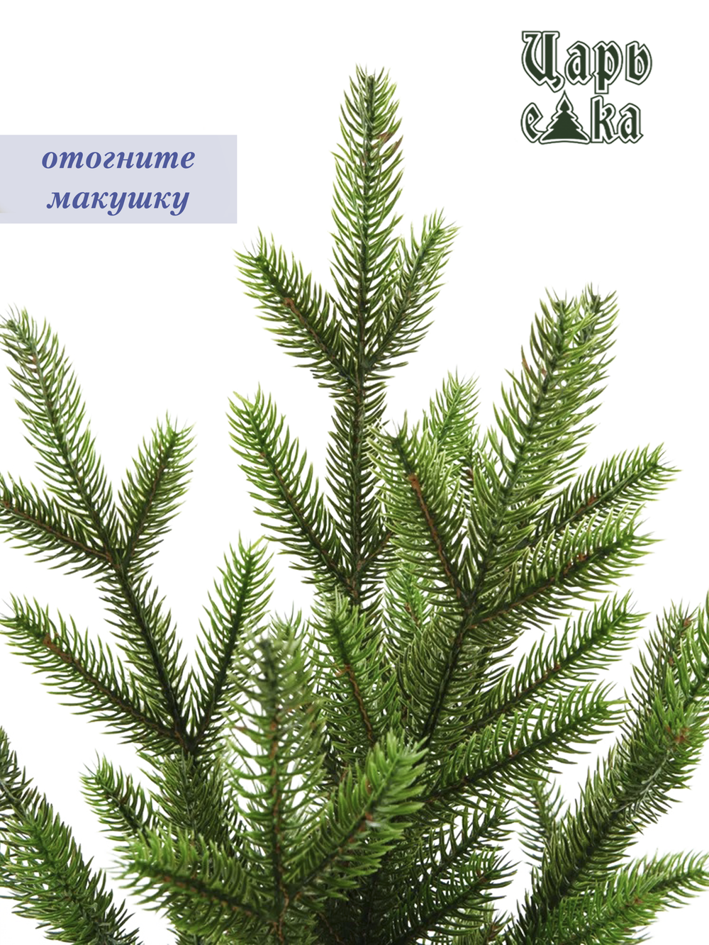 Ель искуственная Царь елка Сапфир 230 см