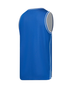 Майка двухсторонняя JÖGEL DIVISION PerFormDRY Double-Side Jersey, синий/белый