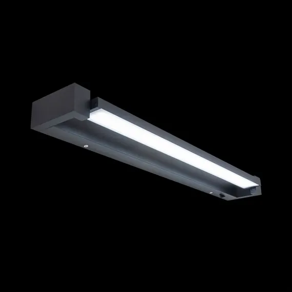 Подсветка для картин Визор CL708261N Citilux