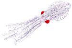 Приманки HIGASHI Squid 11 (set-10pcs) #04 (Transparent UV - Silver flakes)