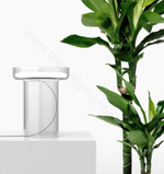 Table design lamp HALO by Quentin de Coster