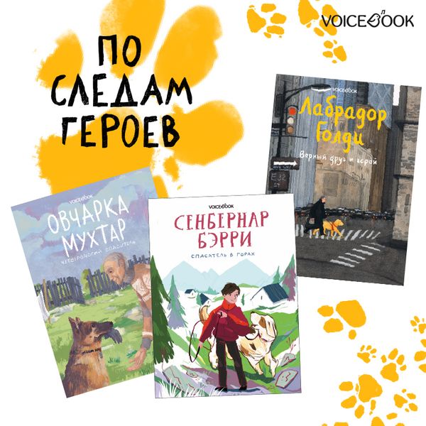 Новинка: серия VoiceBook «По следам героев» Новинка: серия VoiceBook «По следам героев»